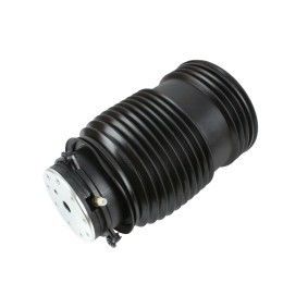 ซื้อ Mercedes Benz 2053200125 อะไหล่ชัสซี่ สปริงอากาศ online manufacture
